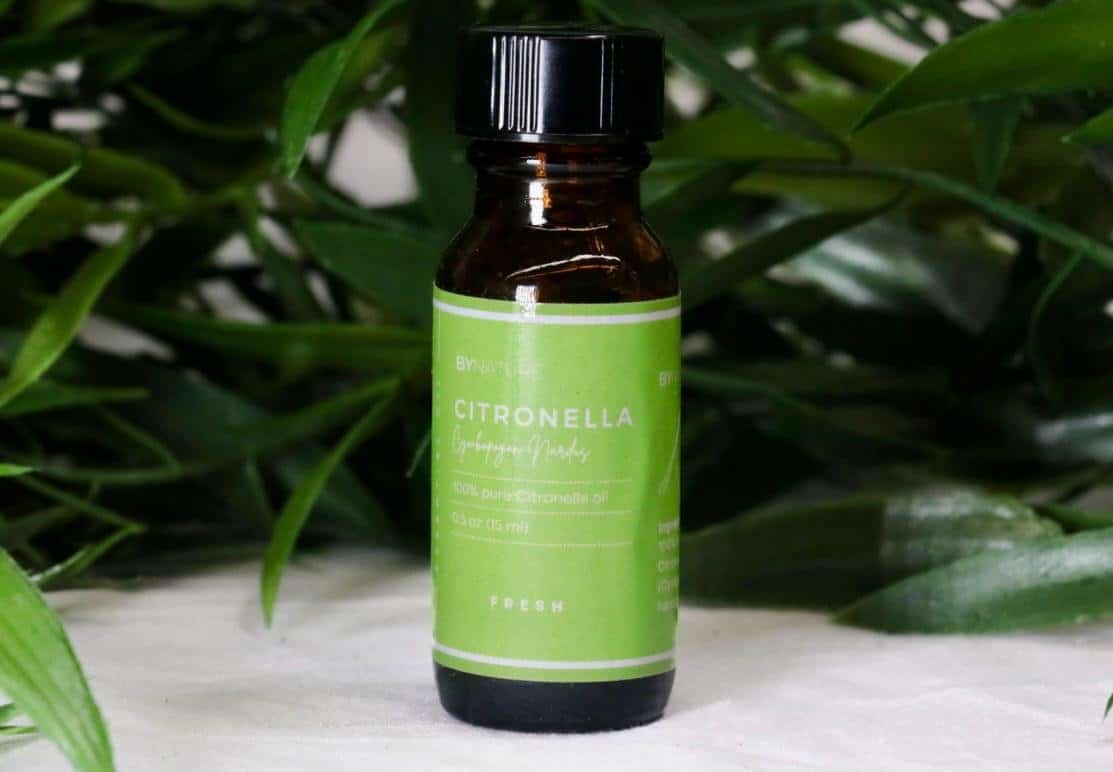 A bottle of pure citronella essential oil with fresh leaves in the background.