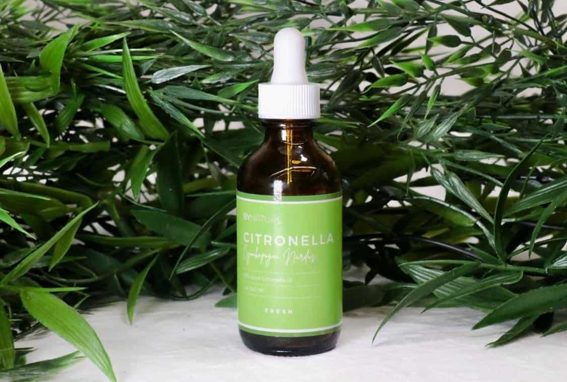 A bottle of pure citronella essential oil with fresh leaves in the background.